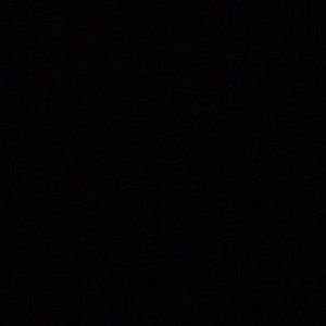 Meet your Posher, Ella